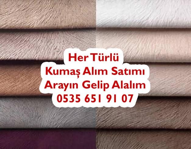 Günümüzde Tay Tüyü Kumaş,Tay Tüyü Kumaş Özellikleri Nedir,Tay Tüyü Kumaş Çeşitleri Nedir,En Çok Satın Alınan Tay Tüyü Kumaş Renkleri,Tay Tüyü Kumaşın Ana Türleri Nedir,Tay Tüyü Kumaş Kullanım Alanları Nedir,Tay Tüyü Kumaş Fiyatları Nedir,Tay Tüyü Kumaş Yıkanır mı,Tay Tüyü Kumaş İngilizcesi Nedir,Tay Tüyü Kumaş Alımı,